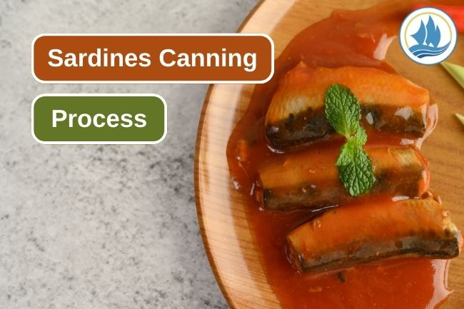 How Sardines Canning Process Works